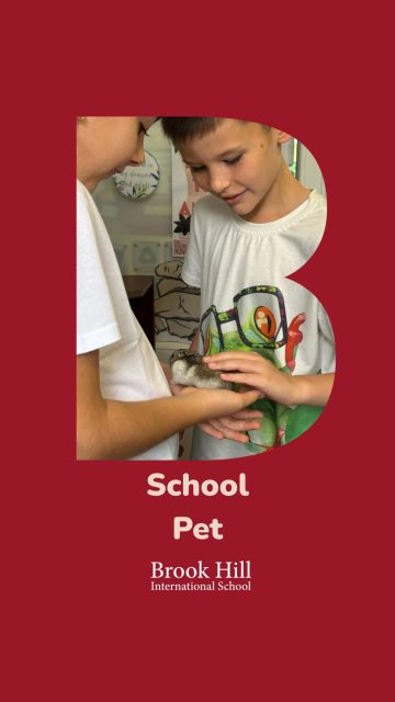 Meet Bob, one of the smallest but most loved members of our Primary School community. 🐹💛

Today, our students carefully cleaned his home and prepared fresh food and water. Through caring for Bob, they develop a sense of responsibility, compassion, and respect for living things while learning the importance of working together to support the wellbeing of others.

These everyday moments provide valuable opportunities for learning that extend beyond the classroom and help nurture thoughtful, caring individuals. ✨
_____
🐹💛 Upoznajte Boba, jednog od najmanjih ali i najomiljenijih članova naše zajednice u osnovnoj školi.

Danas su naši učenici pažljivo očistili njegov dom i pripremili svežu hranu i vodu. Briga o Bobu pomaže učenicima da razvijaju odgovornost, saosećanje i poštovanje prema živim bićima, dok istovremeno uče koliko je važna saradnja i briga o drugima.

Ovi svakodnevni trenuci predstavljaju dragocene prilike za učenje koje prevazilazi okvire učionice i doprinosi razvoju brižnih, odgovornih i pažljivih mladih ljudi. ✨

#internationalschoolbelgrade #brookhillinternationalschool #primaryschool #privateschool #education