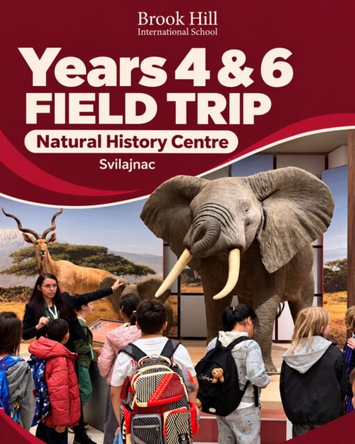 Big discoveries for our young explorers! 🐘🔍
Years 4 and 6 took their curiosity beyond the classroom with a visit to the Natural History Centre in Svilajnac. From impressive animal exhibits to a closer look at the natural world, there was plenty to explore and spark new questions.
Swipe through for a few moments from their adventure! 🌍
#BrookHillInternationalSchool #LearningBeyondTheClassroom #SchoolTrip #NaturalHistory